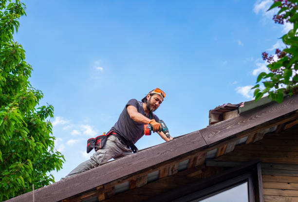 Best Metal Roofing Installation  in Lake Andes, SD