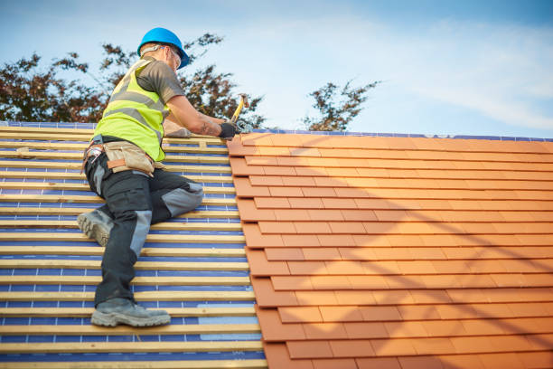 Best Roof Moss and Algae Removal  in Lake Andes, SD